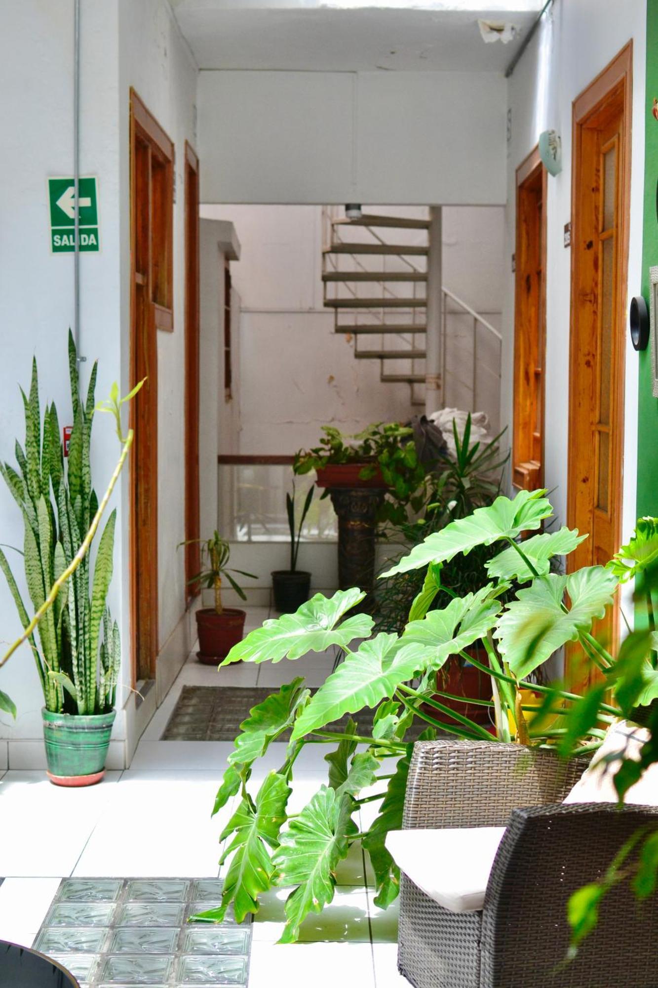 Maison Verte - Guest House Arequipa Kültér fotó